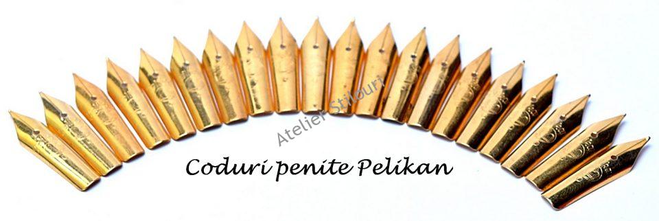 coduri penite pelikan